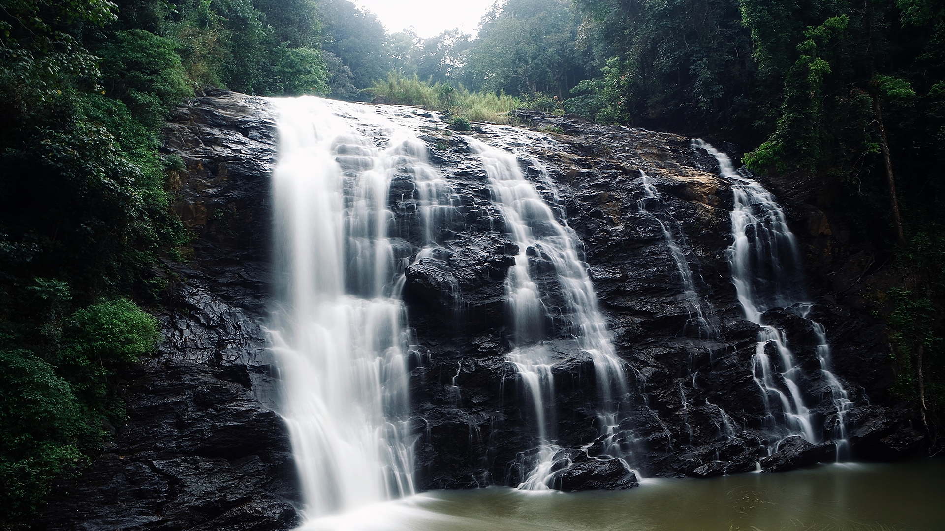 Coorg India