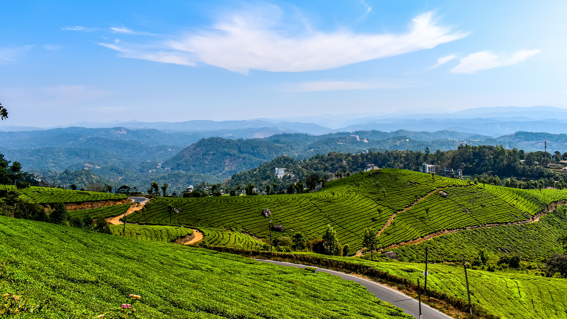 Munnar, Kerala, India