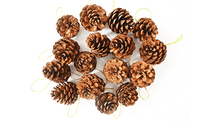 Natural_Pinecones_with_Hanging_for_christmas_decor_at_home